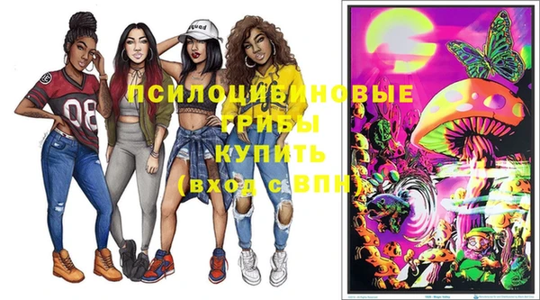 apvp Вязьма