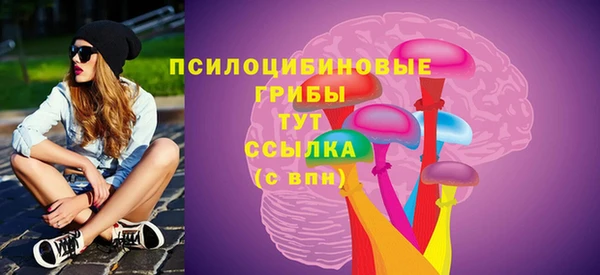 apvp Вязьма