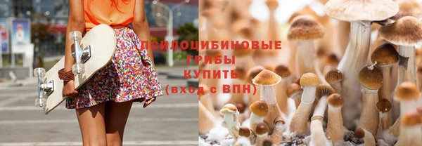 прущая мука Вяземский