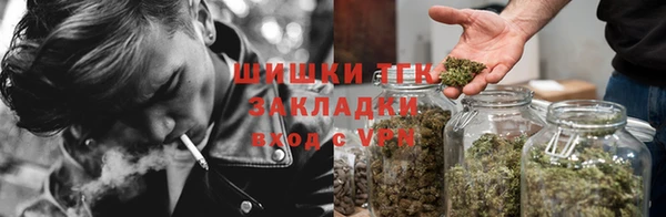 apvp Вязьма