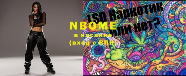 прущая мука Вяземский
