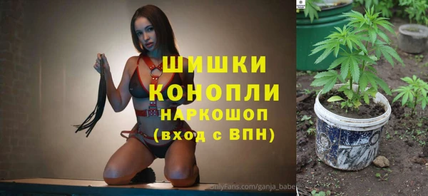 прущая мука Вяземский