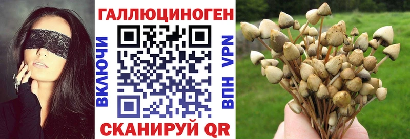 мориарти наркотические препараты  гидра маркетплейс  Энгельс  Псилоцибиновые грибы Magic Shrooms 